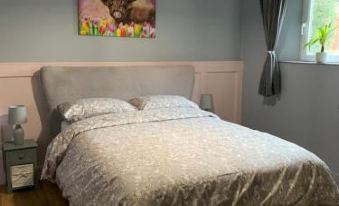 1-Bed Apartment in Wells - Housity