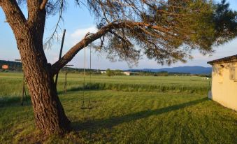 Les Loups Dans la Bergerie