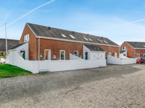 "Ginger" - 2.3km from the Sea