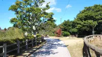 Hamakoya