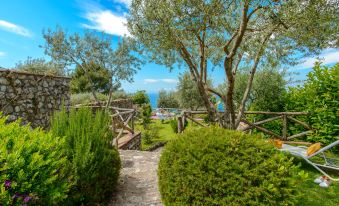 a beautiful garden with green plants , trees , and a path leading to a house , surrounded by mountains and a clear blue sky at Hotel Caesar Augustus