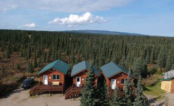 Alaskan Spruce Cabins