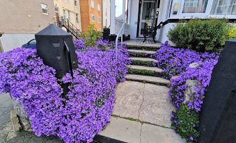 Colbourn Bed and Breakfast - Housity