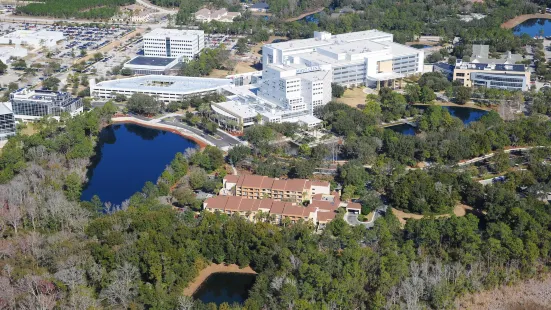 Courtyard Jacksonville at the Mayo Clinic Campus/Beaches