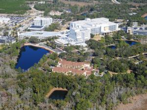 Courtyard Jacksonville at the Mayo Clinic Campus/Beaches