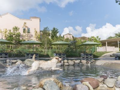 共有エリア 小谷流の里 ドギーズアイランドの写真