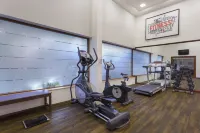 Lazy Lagoon, Baga A Lemon Tree Resort, Goa - Fitnessstudio