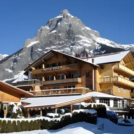 Chalet Hotel Adler AG