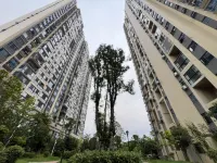 Yueyang Tower Qiyue Homestay