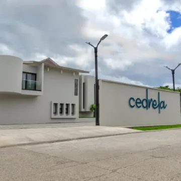 Cedrela