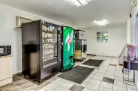 Motel 6 Venice, FL Hotels in Venice