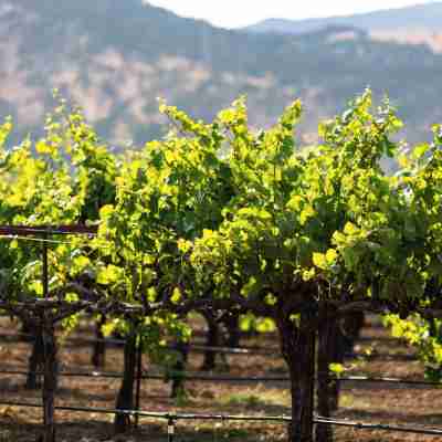 Homewood Suites by Hilton Fairfield-Napa Valley Area Hotel Exterior