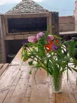 Gala Guesthouse Hotels in Alaverdi