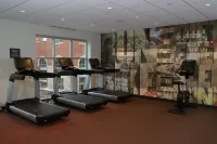 Hotel Indigo NAPERVILLE RIVERWALK by IHG - Gym