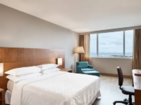 Sheraton Vitoria Hotel Hotels in Vitoria