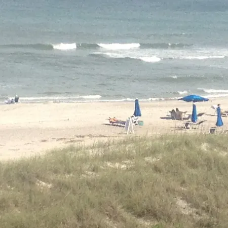 OCEAN SIGHTS AND SOUNDS is Family Friendly!