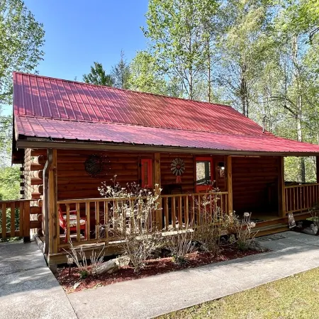 Cozy cabin 2 miles from Parkway! Secluded_Screen Porch_Wifi_Pool_Dog Friendly