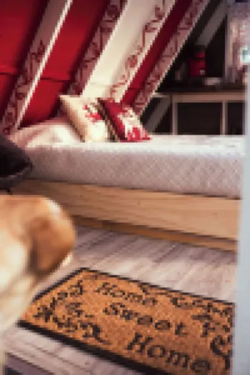 The Stargazer A-frame Cabin with Mtn View, Hot Tub