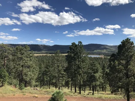 Big Bear Cabin at White Mountain Lodge