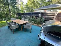 Sunny Bird Sanctuary; 3 King Bds; Bike Dwntwn; EV