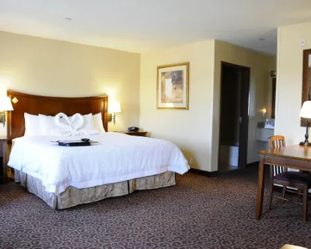 希爾頓歡朋套房酒店-雷德布拉夫 雷德布拉夫酒店