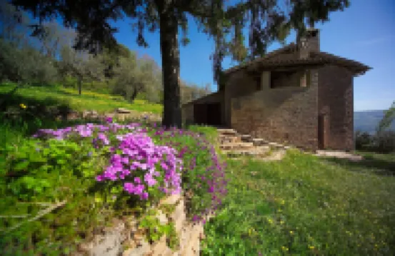 Art, nature and peace upon the mountain of St. Francis.