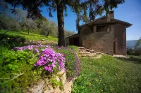 Art, nature and peace upon the mountain of St. Francis.
