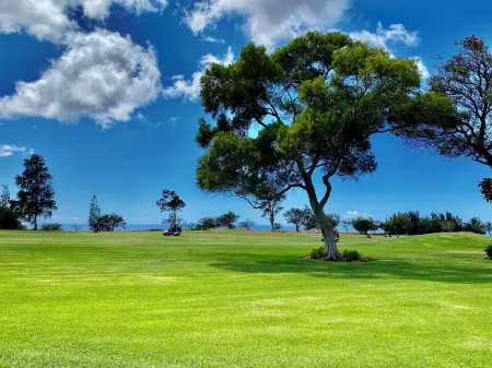 Beautiful condo in quiet area close to restaurants, shopping and golfing.