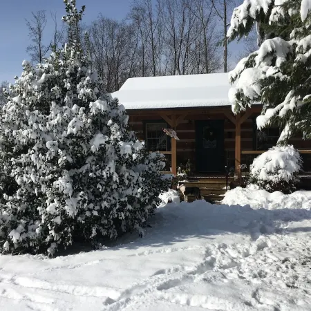 Your Mayberry Get-a-Way Cabin- Only 6 Miles from Downtown Mount Airy