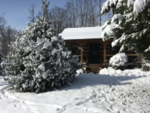 Your Mayberry Get-a-Way Cabin- Only 6 Miles from Downtown Mount Airy