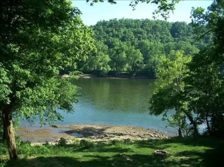 White River Get Away Cabin (Norfork) - River frontage - Open all Year