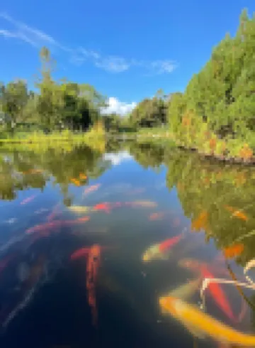 Fewo Froschkönig am Wattenmeer, Kinder- und Tierfreundliche Unterkunft