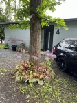 Quiet location by the forest "Time for doing nothing Hotels near Sieghütte