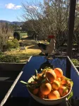 Nanny Goat Hill - a spacious kangaroo valley escape