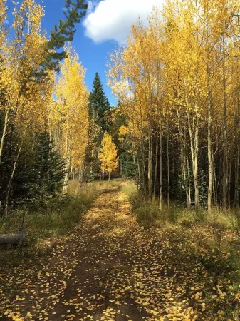 Colorado Mountain Getaway Retreat