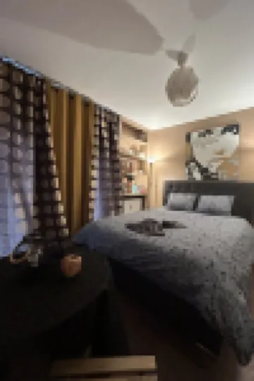 Appart & Studio Hyper Centre de Strasbourg - Proche Cathédrale & Petite France