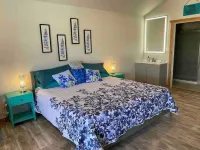 Silver Dollar Winery Bluebonnet