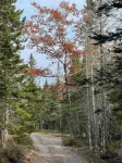 Miners Den Balsam Hill Cabins Milbridge - Chalets