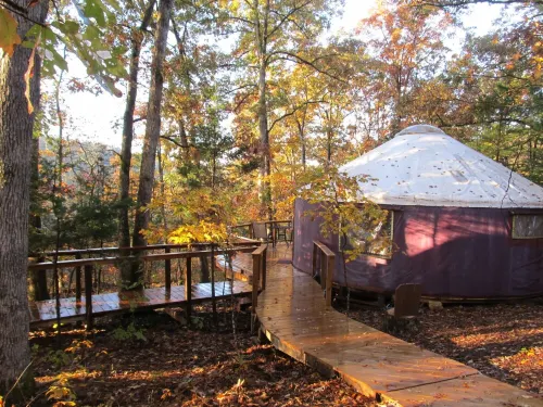 Yurt Floating in the Forest