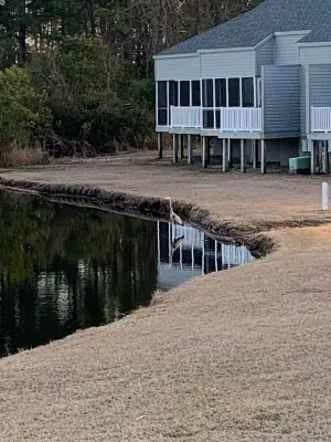 Windjammer Villas Condo in Fairfield Harbour-recreational amenities included!