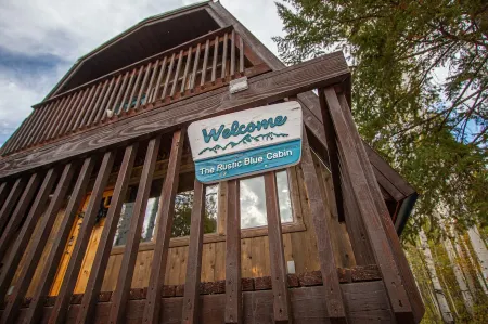 The Rustic Blue Cabin surrounded by Aspen Trees