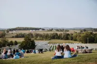 🌲TRAILS & TRANQUILITY🌲 - Cozy Cabin on 30 Acres