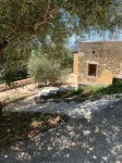 An oasis of peace among secular olive trees