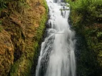 Portland Charming, fully furnished, private, quiet and pets friendly Home. Hotels in Gresham