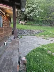 Orofino boho cabin in town, close to everything. 1 mile from Clearwater river.