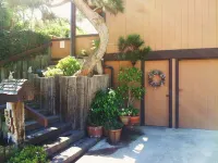 Oceanfront Home, Stone Steps Beach Access, Jacuzzi on Oceanfront Deck Self Realization Fellowship Hermitage & Meditation Gardens附近的飯店