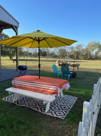 The Alpaca Campa  - Minutes to Nashville