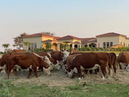 NEW Hacienda Ranch W/ Resort Style Pool