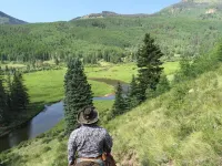 Private Cabin on the Conejos River, Pet Friendly, Sleeps 5