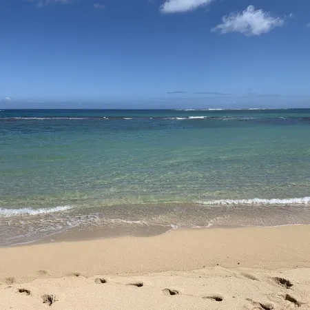 Modern Beachfront Luxury Property 4 Bed 4 Bath on Oahu’s North Shore